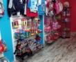 La Franquicia Minnistore siempre es la Franquicia Minnistore.