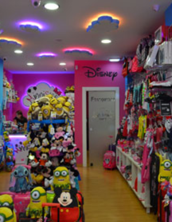 Minnistore, nuestros productos