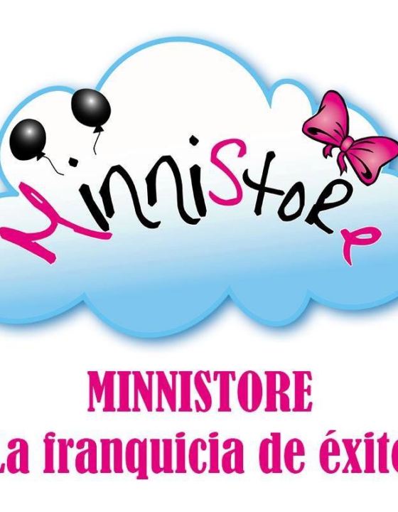 Minnistore: el concepto