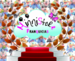 Minnistore dice ¡hola! al 2020.