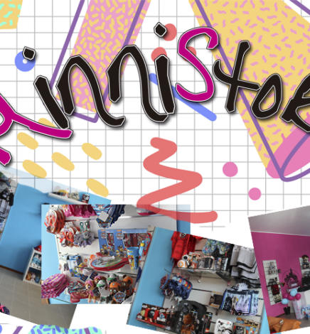 ¿Cómo son nuestras tiendas Minnistore?